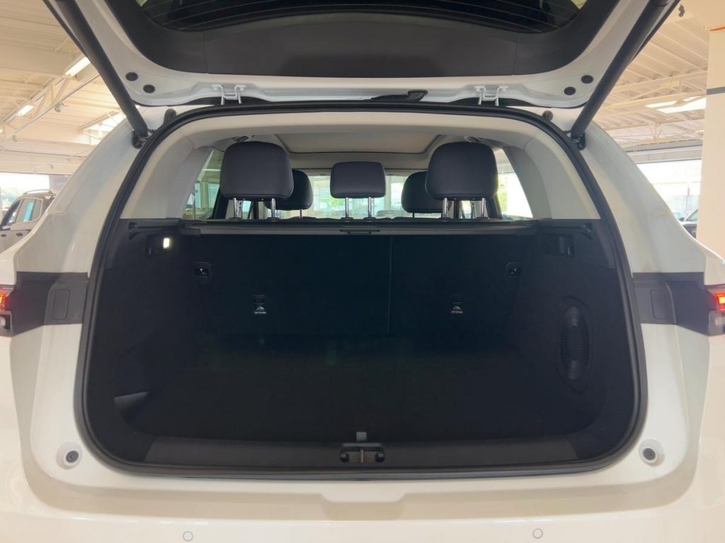 Leapmotor C10 REEV ❗1.000 KM REICHWEITE❗